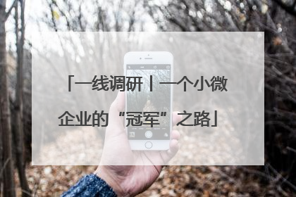 一线调研丨一个小微企业的“冠军”之路
