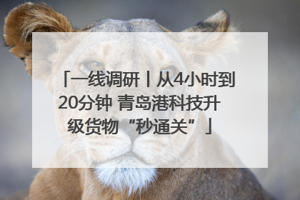 一线调研丨从4小时到20分钟 青岛港科技升级货物“秒通关”