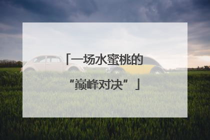 一场水蜜桃的“巅峰对决”