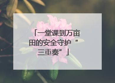 一堂课到万亩田的安全守护“三重奏”