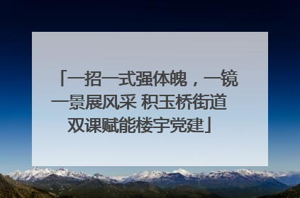 一招一式强体魄，一镜一景展风采 积玉桥街道双课赋能楼宇党建