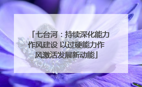 七台河：持续深化能力作风建设 以过硬能力作风激活发展新动能