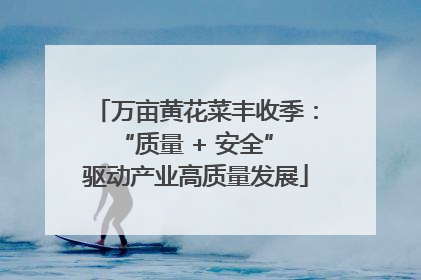 万亩黄花菜丰收季：“质量 + 安全” 驱动产业高质量发展