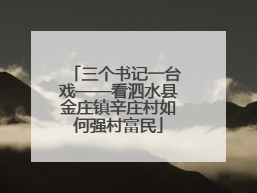 三个书记一台戏——看泗水县金庄镇辛庄村如何强村富民