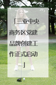 三亚中央商务区党建品牌创建工作正式启动