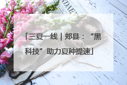 三夏一线｜郏县：“黑科技”助力夏种提速