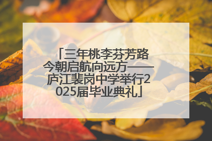 三年桃李芬芳路 今朝启航向远方——庐江裴岗中学举行2025届毕业典礼
