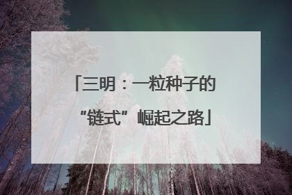 三明：一粒种子的“链式”崛起之路