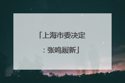 上海市委决定：张鸣履新