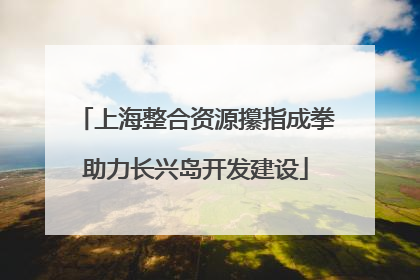 上海整合资源攥指成拳助力长兴岛开发建设