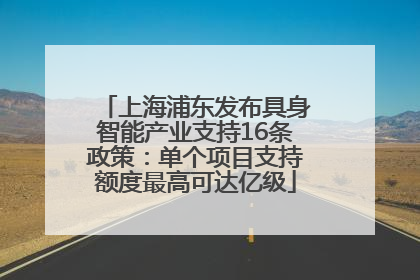 上海浦东发布具身智能产业支持16条政策：单个项目支持额度最高可达亿级