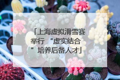 上海虚拟滑雪赛举行 “虚实结合”培养后备人才