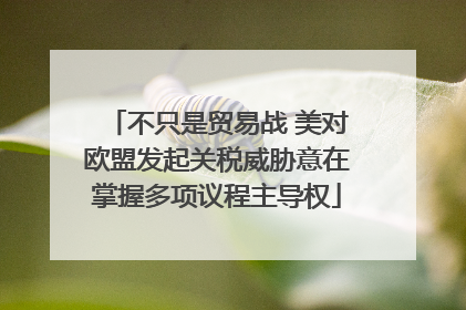 不只是贸易战 美对欧盟发起关税威胁意在掌握多项议程主导权