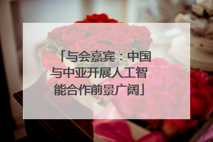 与会嘉宾：中国与中亚开展人工智能合作前景广阔