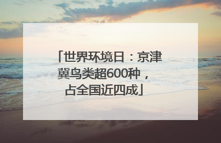世界环境日：京津冀鸟类超600种，占全国近四成