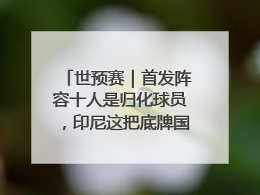 世预赛｜首发阵容十人是归化球员，印尼这把底牌国足如何应对？