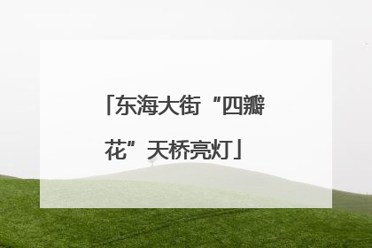 东海大街“四瓣花”天桥亮灯