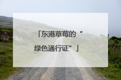 东港草莓的“绿色通行证”