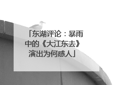 东湖评论：暴雨中的《大江东去》演出为何感人
