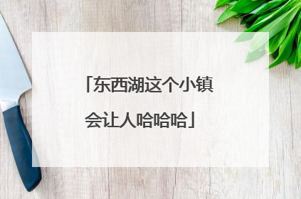 东西湖这个小镇会让人哈哈哈