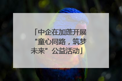 中企在加蓬开展“童心同路，筑梦未来”公益活动