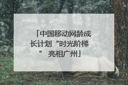 中国移动网龄成长计划“时光阶梯” 亮相广州