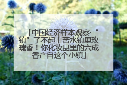 中国经济样本观察·“镇”了不起丨苦水镇里玫瑰香！你化妆品里的六成香产自这个小镇