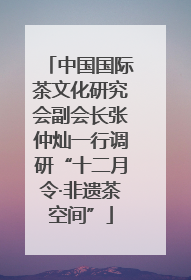 中国国际茶文化研究会副会长张仲灿一行调研“十二月令·非遗茶空间”