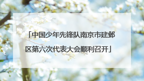 中国少年先锋队南京市建邺区第六次代表大会顺利召开