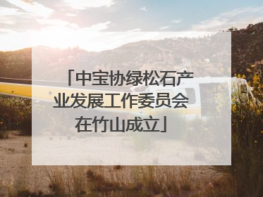 中宝协绿松石产业发展工作委员会在竹山成立
