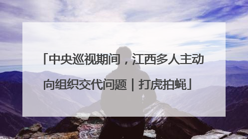 中央巡视期间，江西多人主动向组织交代问题｜打虎拍蝇