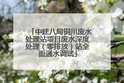 中建八局铜川废水处理站项目废水深度处理（零排放）站全面通水调试