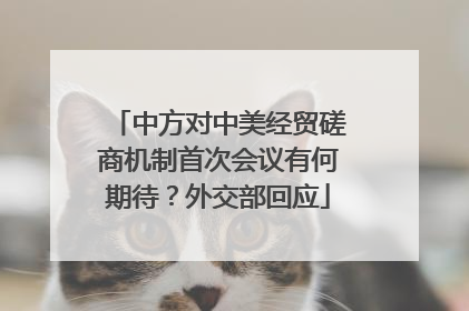 中方对中美经贸磋商机制首次会议有何期待？外交部回应