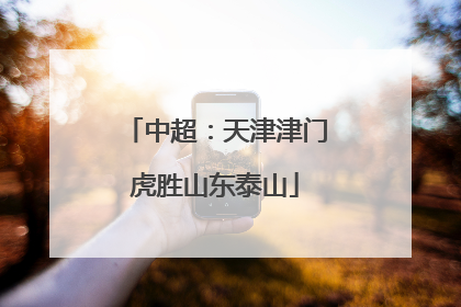 中超：天津津门虎胜山东泰山