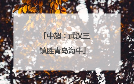 中超：武汉三镇胜青岛海牛