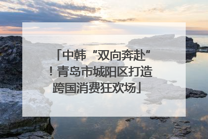 中韩“双向奔赴”！青岛市城阳区打造跨国消费狂欢场