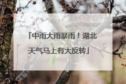 中雨大雨暴雨！湖北天气马上有大反转