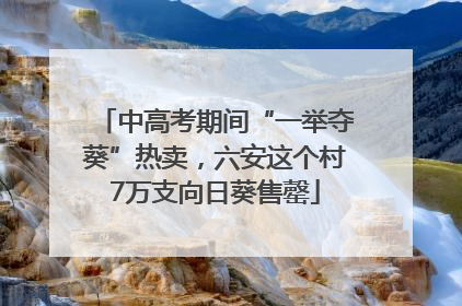 中高考期间“一举夺葵”热卖，六安这个村7万支向日葵售罄