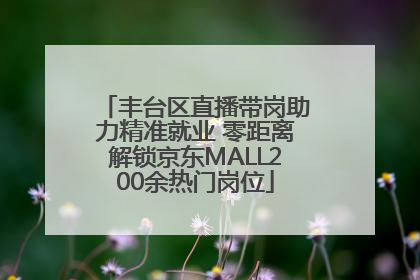 丰台区直播带岗助力精准就业 零距离解锁京东MALL200余热门岗位