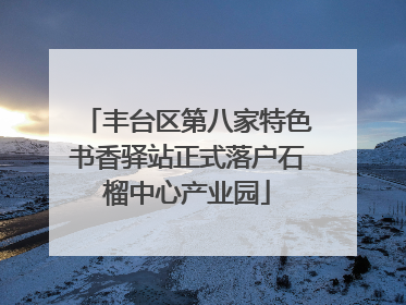 丰台区第八家特色书香驿站正式落户石榴中心产业园