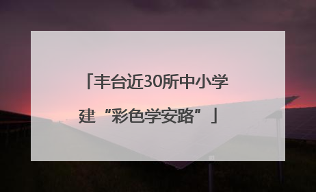 丰台近30所中小学建“彩色学安路”