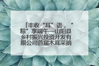 丰收“耳”语，“粽”享端午—山阳县乡村振兴投资开发有限公司首届木耳采摘活动盛大启幕
