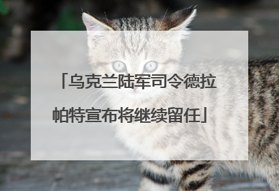 乌克兰陆军司令德拉帕特宣布将继续留任