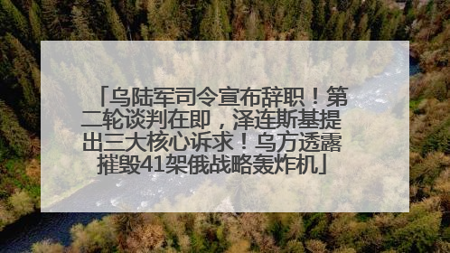 乌陆军司令宣布辞职！第二轮谈判在即，泽连斯基提出三大核心诉求！乌方透露摧毁41架俄战略轰炸机