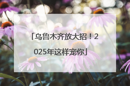 乌鲁木齐放大招！2025年这样宠你