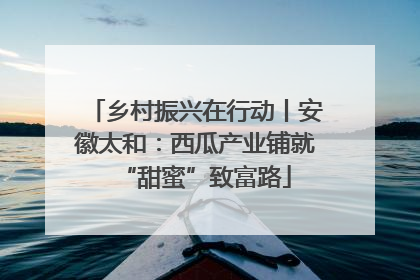 乡村振兴在行动丨安徽太和：西瓜产业铺就“甜蜜”致富路