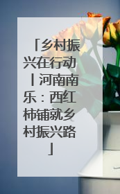 乡村振兴在行动丨河南南乐：西红柿铺就乡村振兴路
