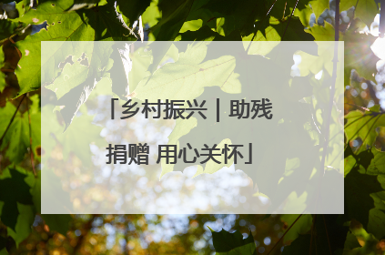 乡村振兴｜助残捐赠 用心关怀