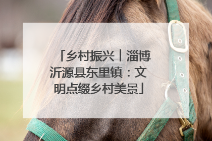 乡村振兴︱淄博沂源县东里镇：文明点缀乡村美景