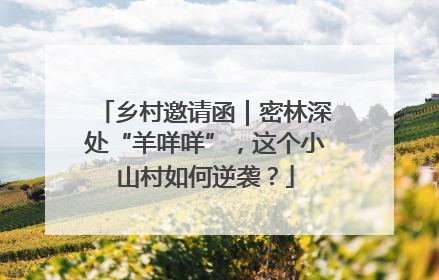乡村邀请函｜密林深处“羊咩咩”，这个小山村如何逆袭？